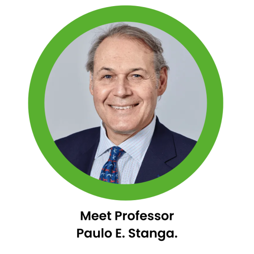 Stanga (4)